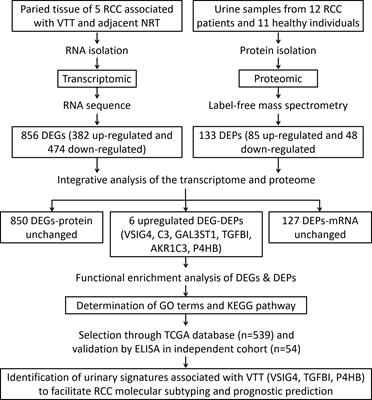 Integrative analysis of transcriptomic landscape and urinary signature reveals prognostic biomarkers for clear cell renal cell carcinoma